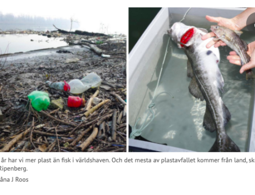 Svenskar låter andra länder dumpa sina plastsopor i haven