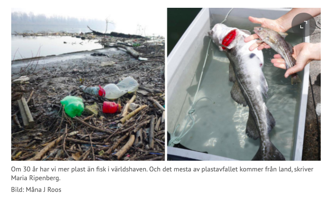 Svenskar låter andra länder dumpa sina plastsopor i haven